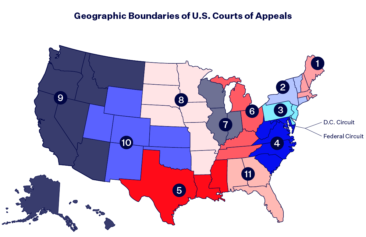 The U S Court System Explained Democracy Docket