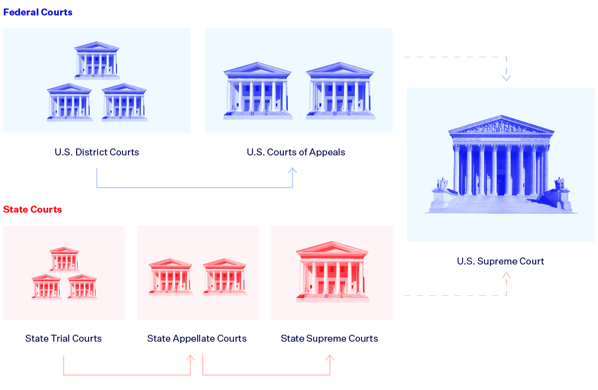 What are the roles of the court of appeals