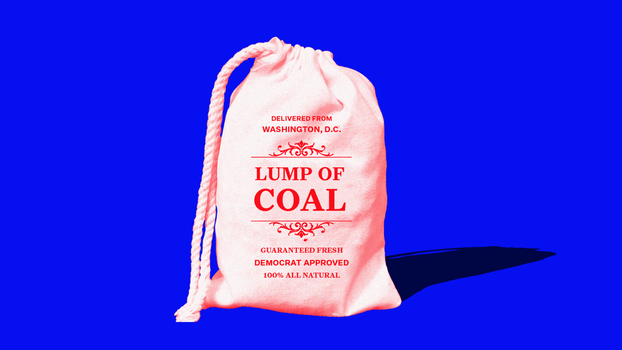 congress-present-to-election-officials-last-year-a-lump-of-coal